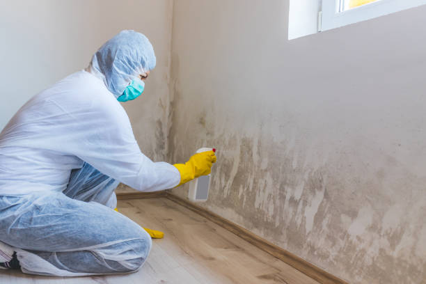 Bathroom Mold Removal assessment in Caldwell bathroom