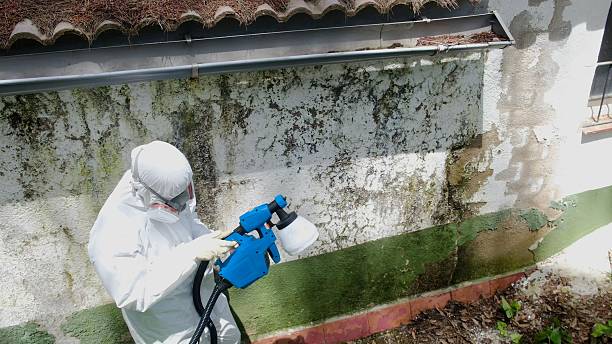 Mold Remediation service in Caldwell, Caldwell, NJ